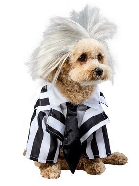 Beetlejuice Black & White Striped Dog Costume with Gray Wig